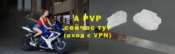стаф Зерноград