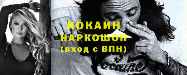 стаф Зерноград