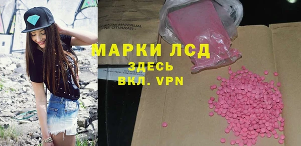 стаф Зерноград