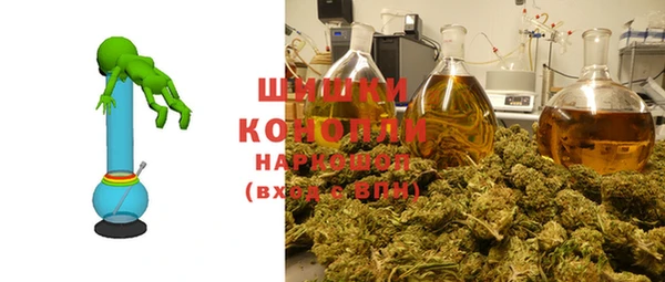 стаф Зерноград