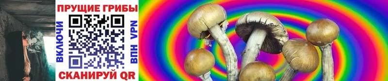 Псилоцибиновые грибы Psilocybine cubensis  Купить  Любим 